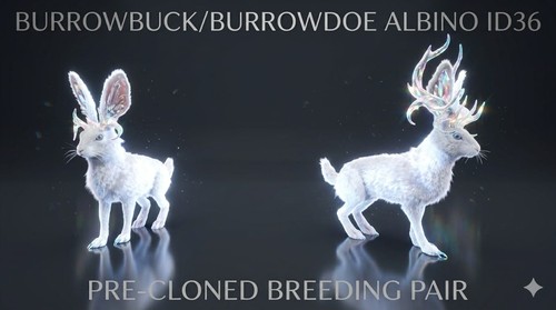 Burrodoe burrowbuck albino - burrodoe,