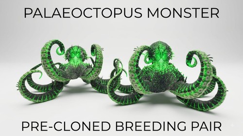 Palaeoctopus coppia - palaeoctopus,