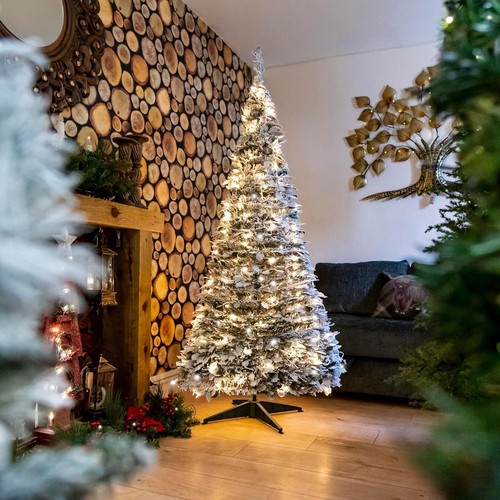 Albero natale pop up - albero,
