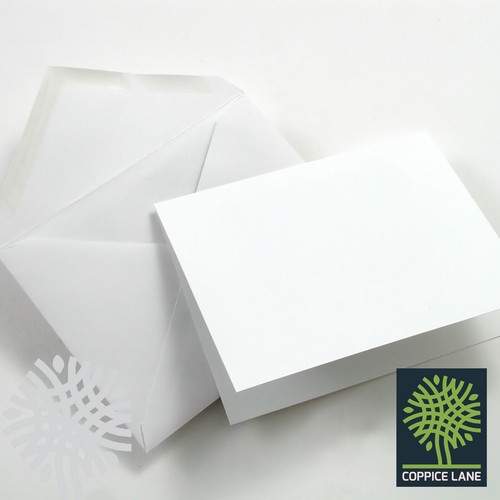 Buste quadrate - quadrate, 5"