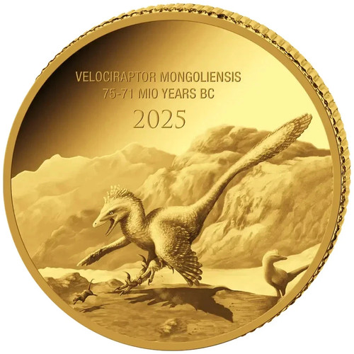 Congo 100 franchi - congo,